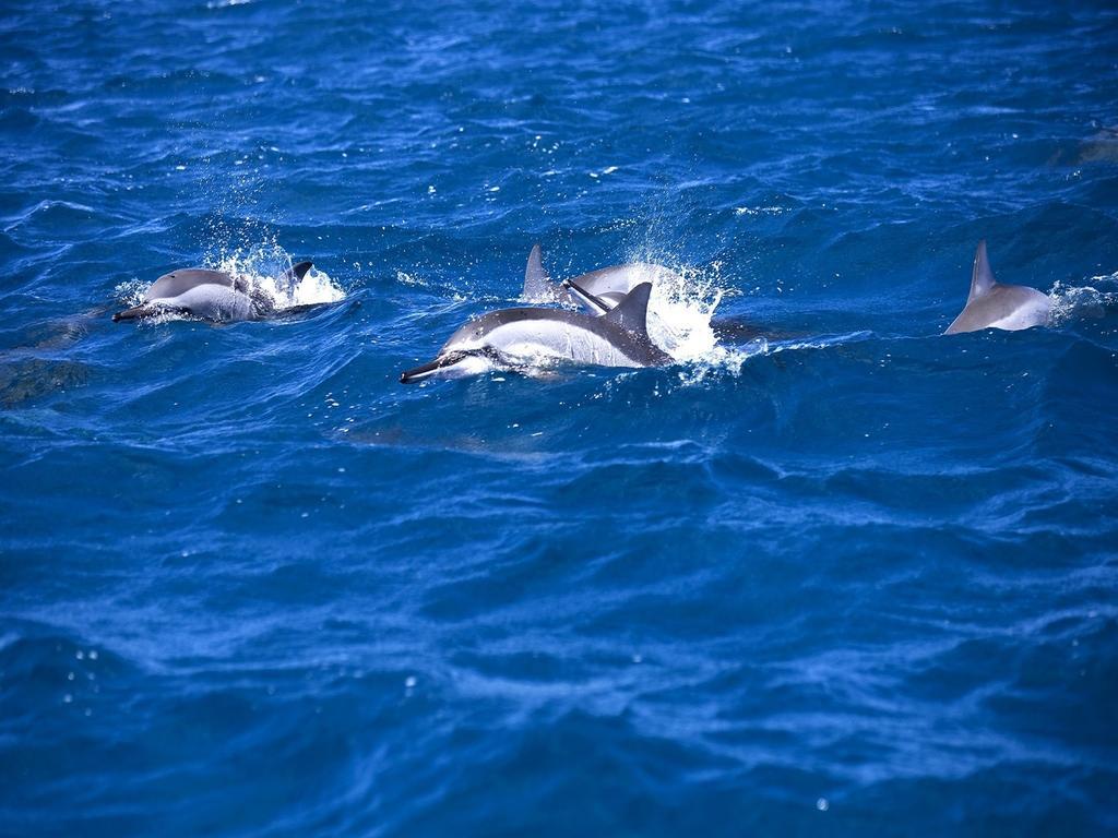 Happy Days Guest House Le Morne Bagian luar foto